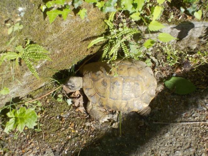 DSCN5027 (FILEminimizer)