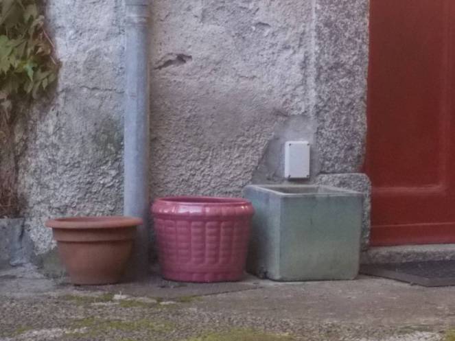 DSCN5032 (FILEminimizer)