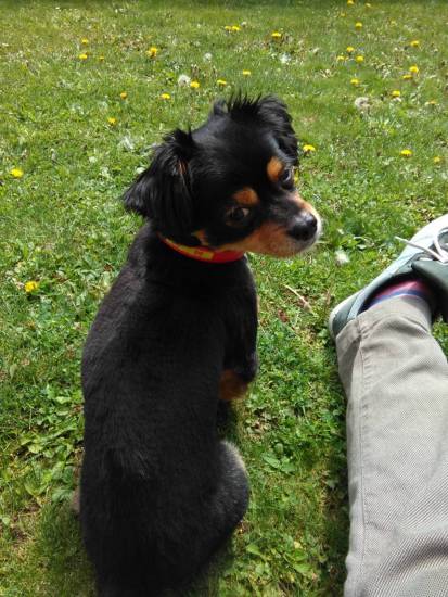 IMG_20160411_121249 (FILEminimizer)