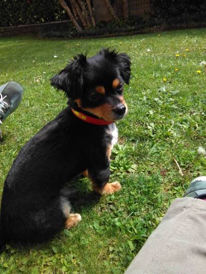 IMG_20160411_121254 (FILEminimizer)