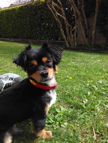 IMG_20160411_121304 (FILEminimizer)