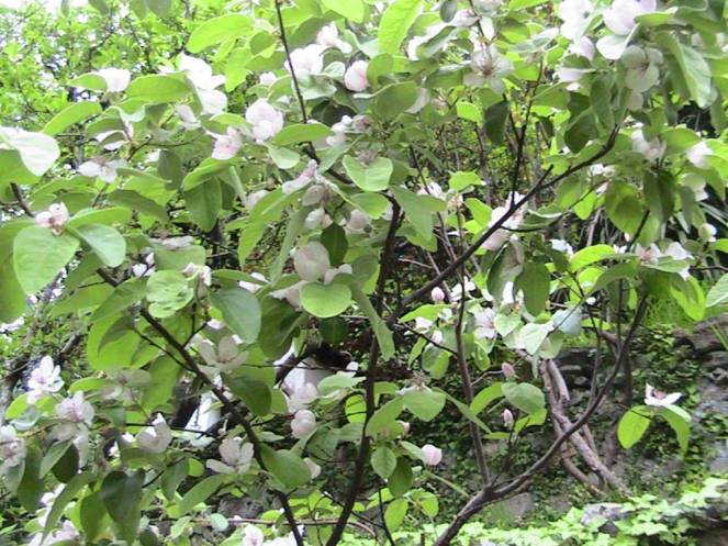 IMG_6949 (FILEminimizer)