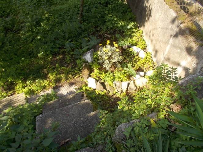 DSCN3918 (FILEminimizer)