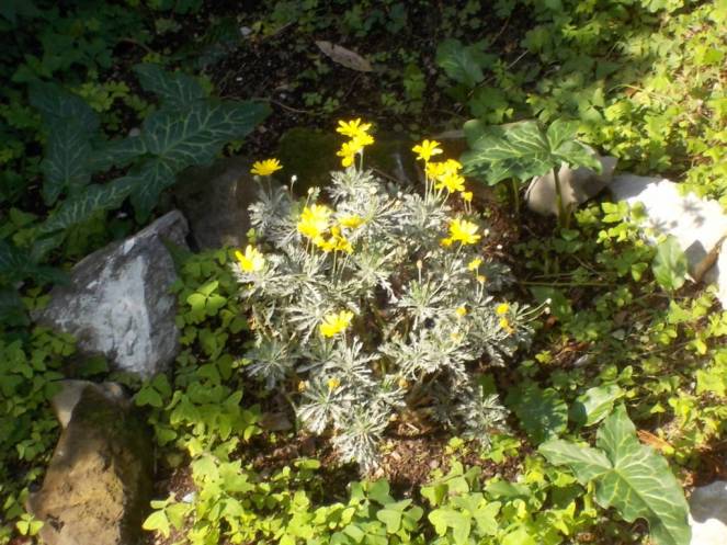 DSCN3919 (FILEminimizer)