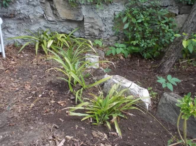 DSCN5046 (FILEminimizer)