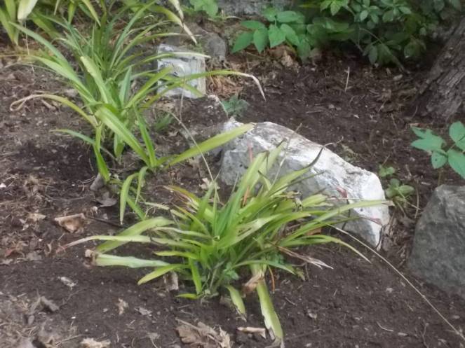 DSCN5047 (FILEminimizer)