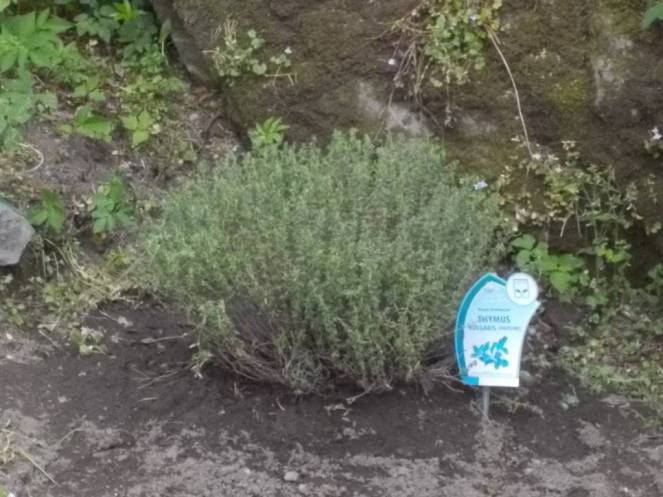 DSCN5049 (FILEminimizer)