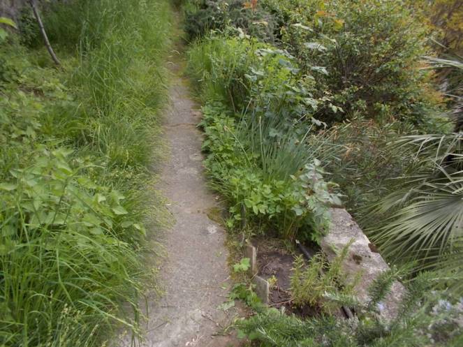 DSCN5050 (FILEminimizer)