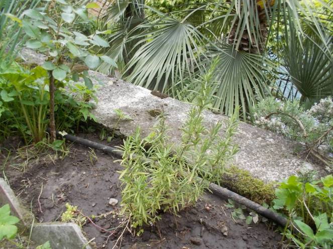 DSCN5051 (FILEminimizer)