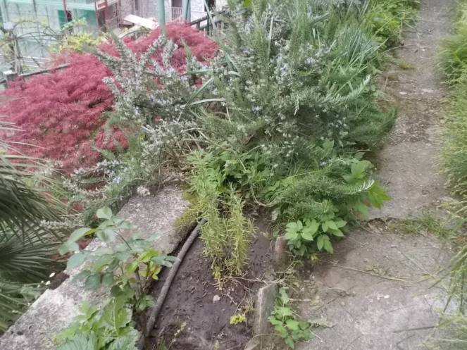 DSCN5052 (FILEminimizer)