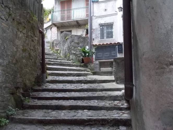 DSCN5057 (FILEminimizer)