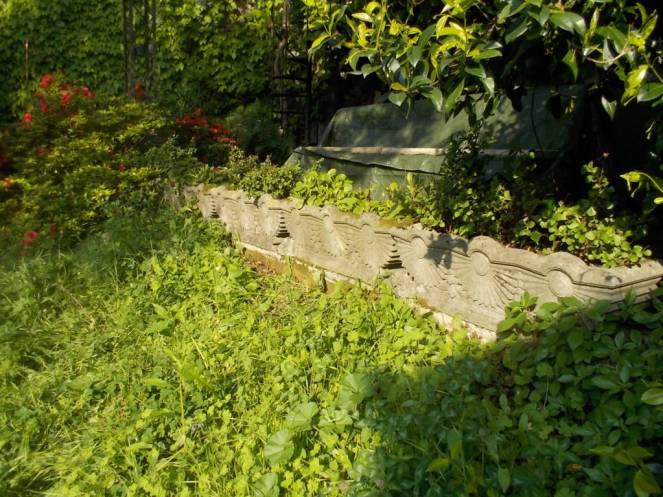 DSCN5162 (FILEminimizer)