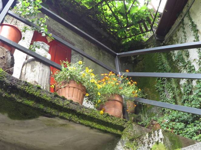 IMG_0102 (FILEminimizer)