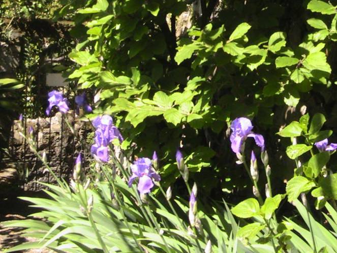 IMG_6978 (FILEminimizer)