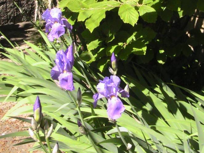 IMG_6979 (FILEminimizer)