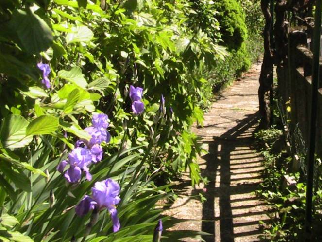 IMG_6980 (FILEminimizer)