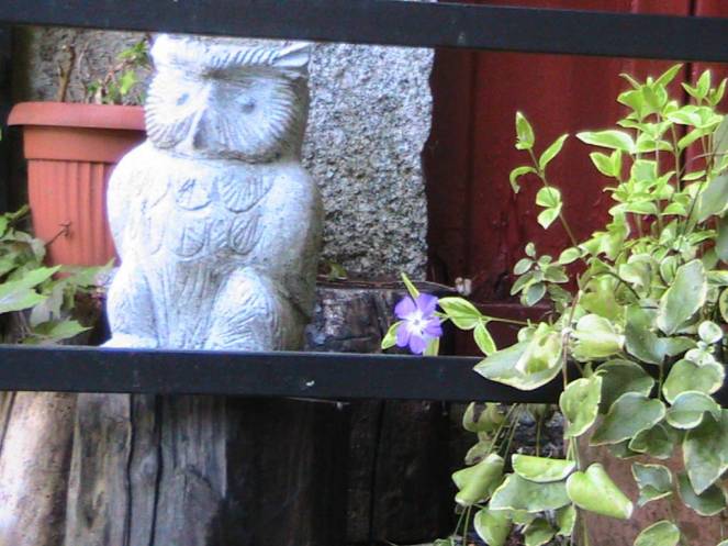 IMG_6993 (FILEminimizer)