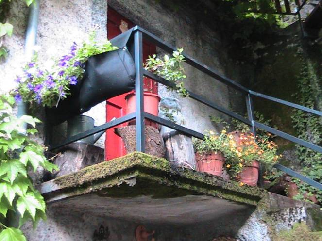 IMG_7091 (FILEminimizer)