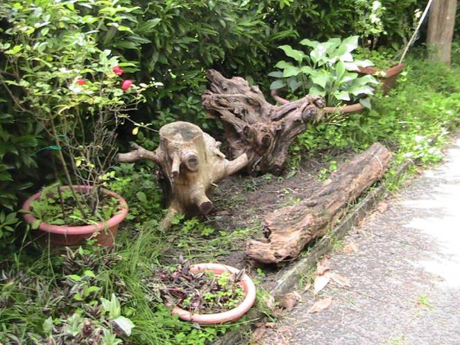 IMG_7217 (FILEminimizer)