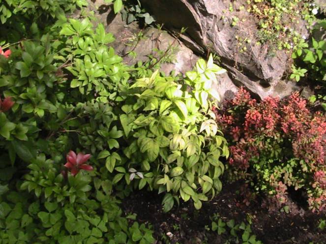 IMG_7258 (FILEminimizer)