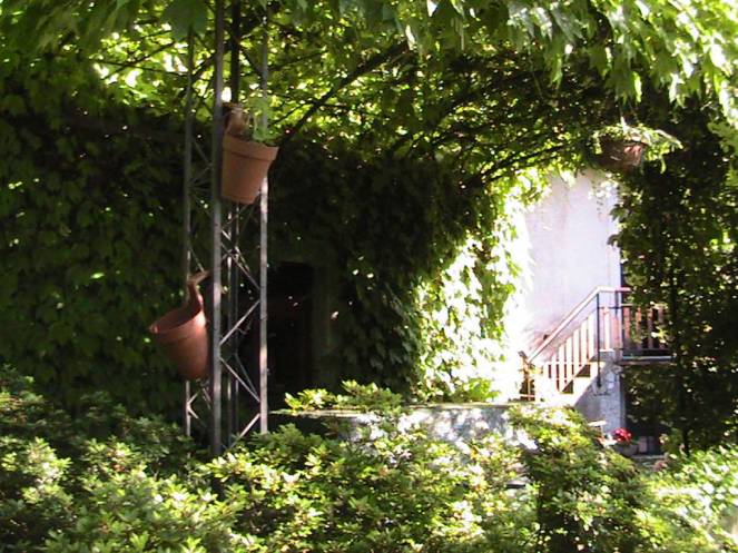 IMG_7275 (FILEminimizer)