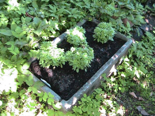 IMG_7316 (FILEminimizer)