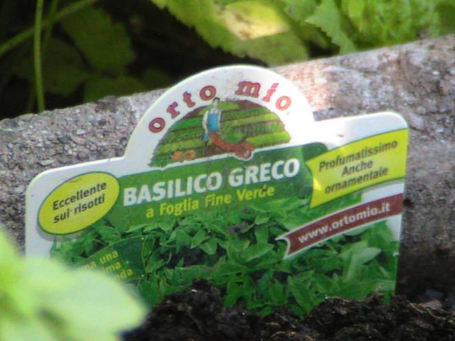 IMG_7318 (FILEminimizer)