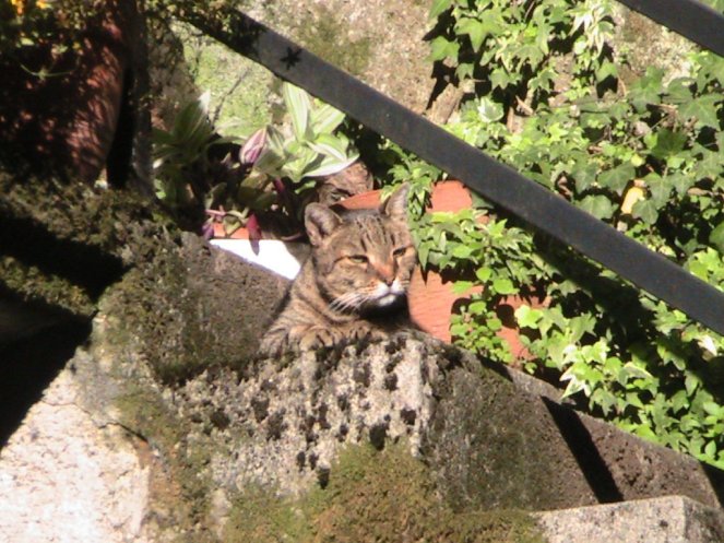 IMG_7557 (FILEminimizer)