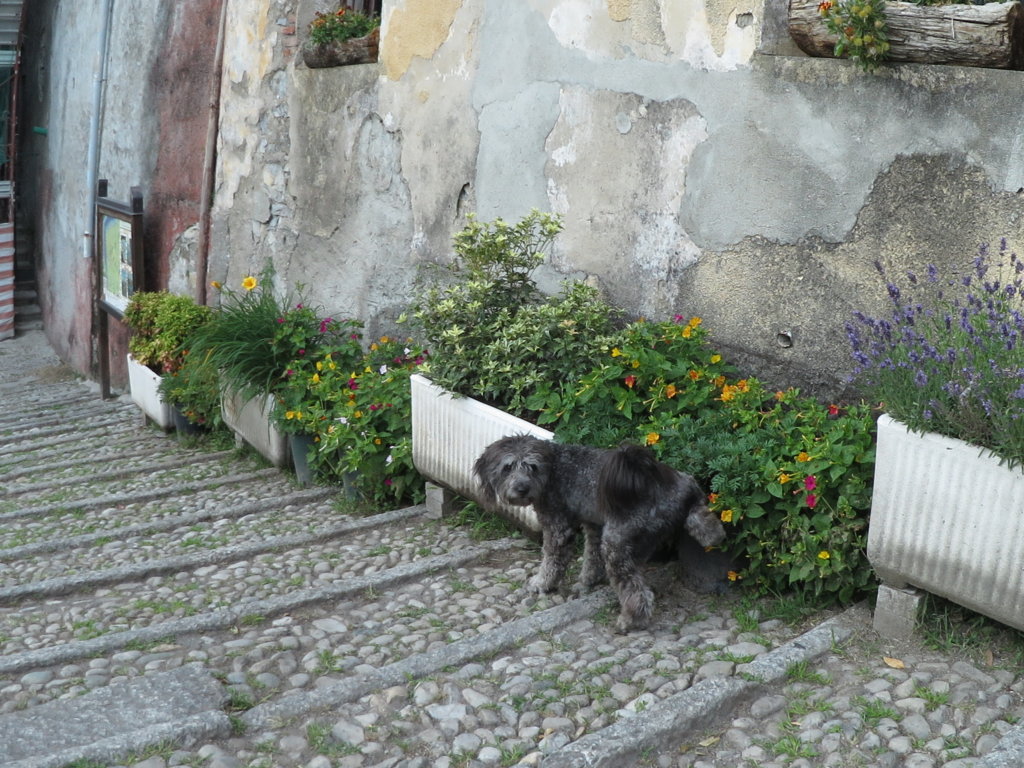 IMG_0114 (FILEminimizer)