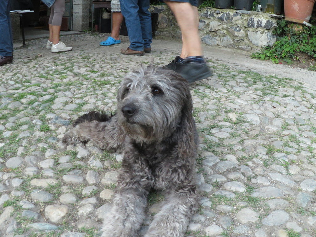 IMG_0122 (FILEminimizer)