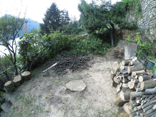 IMG_0137 (FILEminimizer)