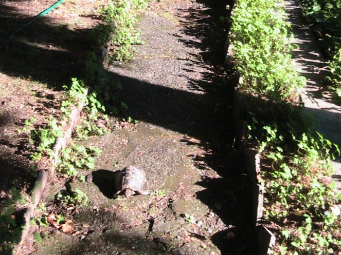 IMG_7538 (FILEminimizer)