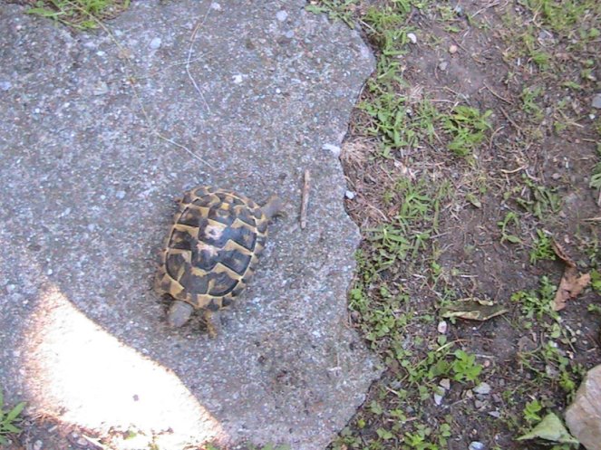 IMG_7542 (FILEminimizer)