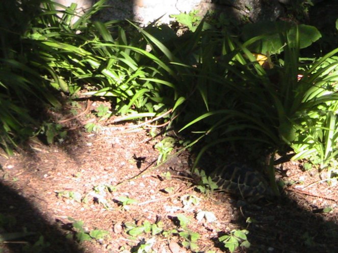 IMG_7553 (FILEminimizer)