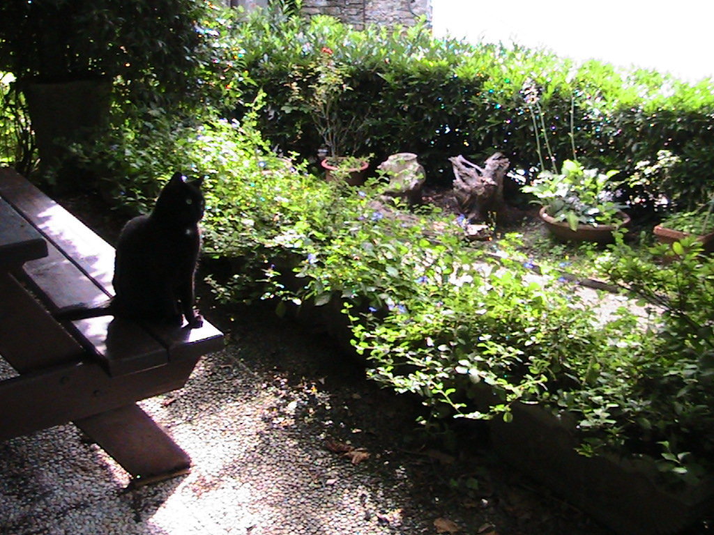 IMG_7601 (FILEminimizer)