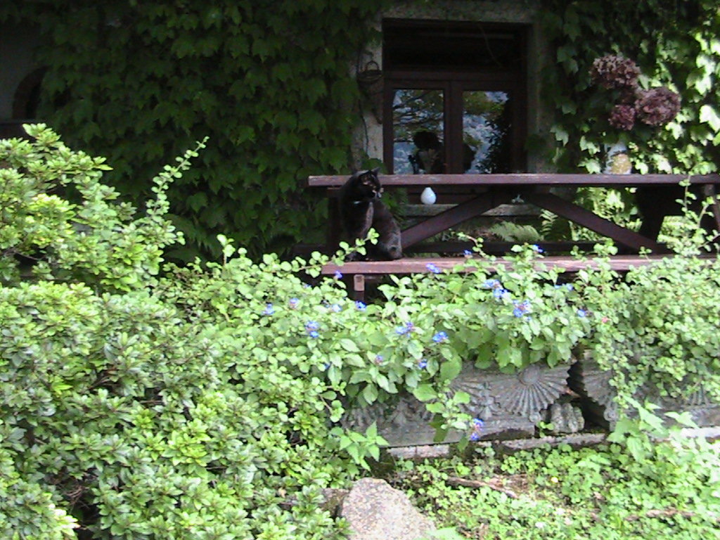 IMG_7602 (FILEminimizer)