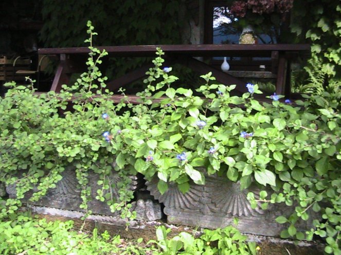 IMG_7604 (FILEminimizer)