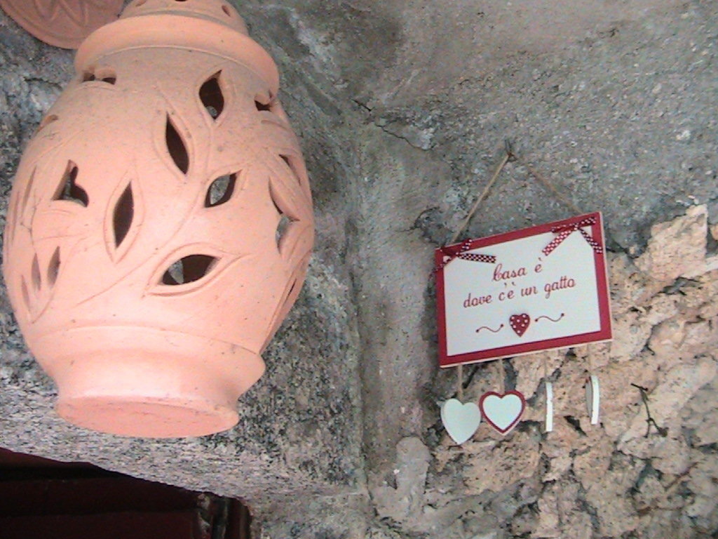 IMG_7611 (FILEminimizer)