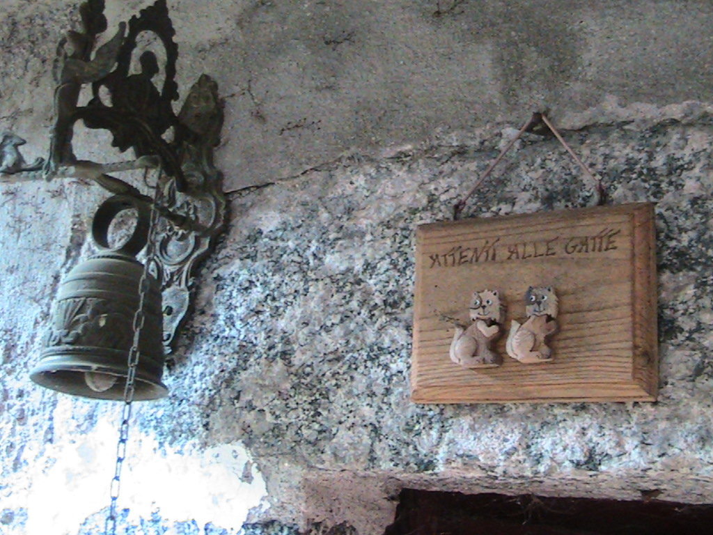 IMG_7612 (FILEminimizer)