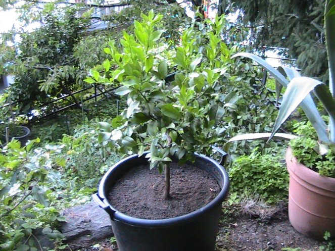 IMG_7630 (FILEminimizer)