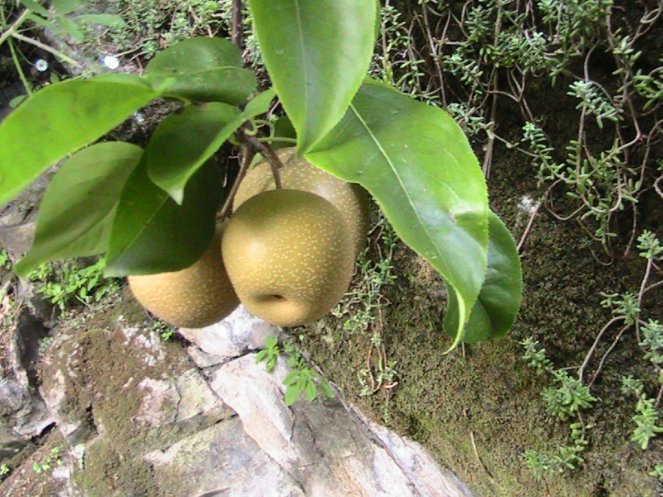 IMG_7683 (FILEminimizer)