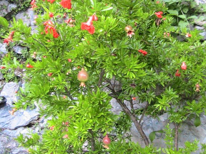 IMG_7685 (FILEminimizer)