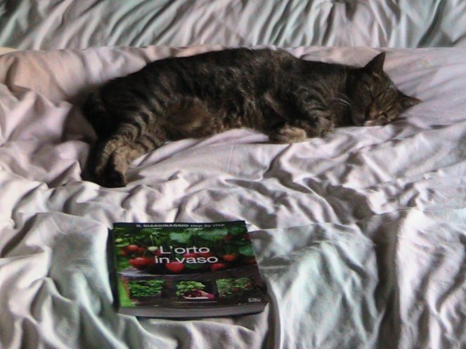 IMG_7692 (FILEminimizer)