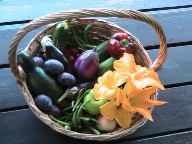 IMG_7693 (FILEminimizer)