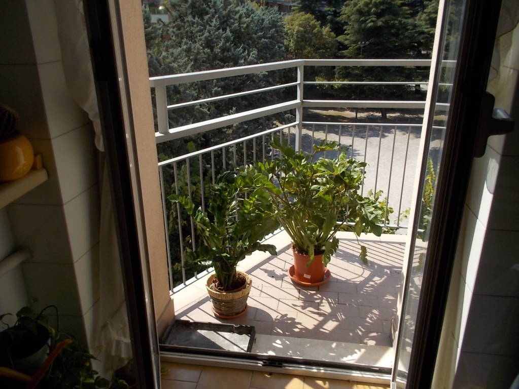 dscn5256-fileminimizer