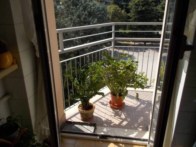 dscn5256-fileminimizer