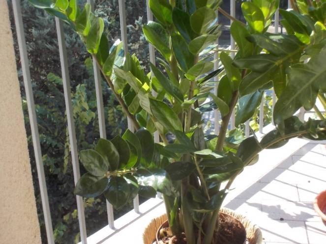 dscn5258-fileminimizer