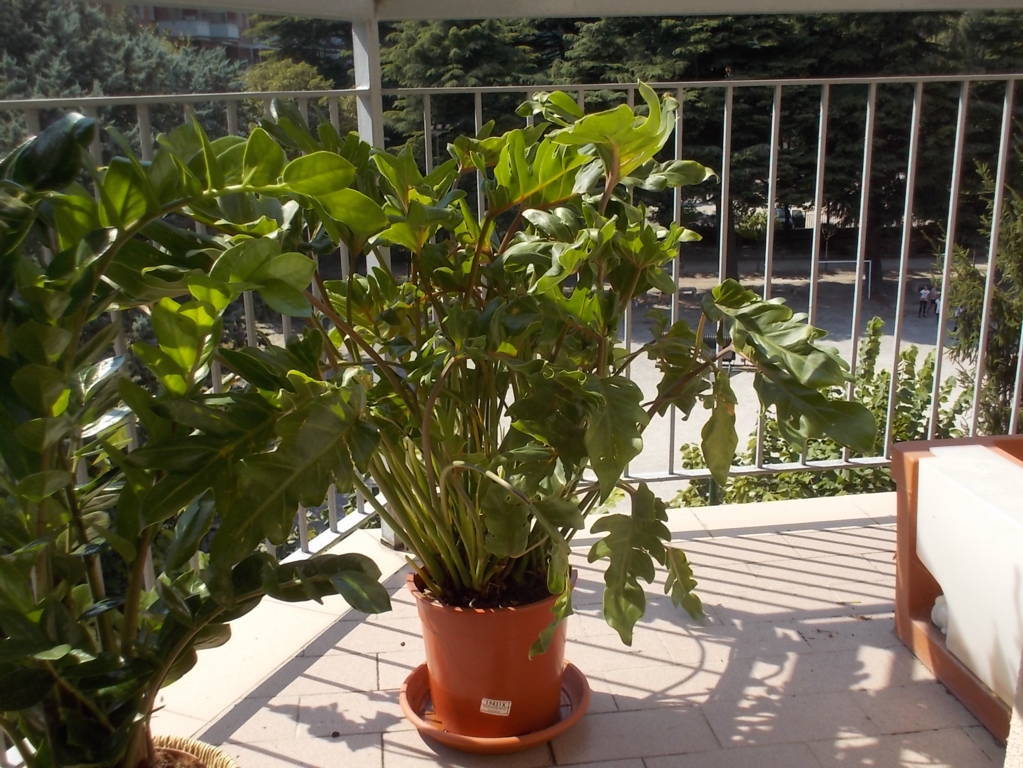 dscn5259-fileminimizer