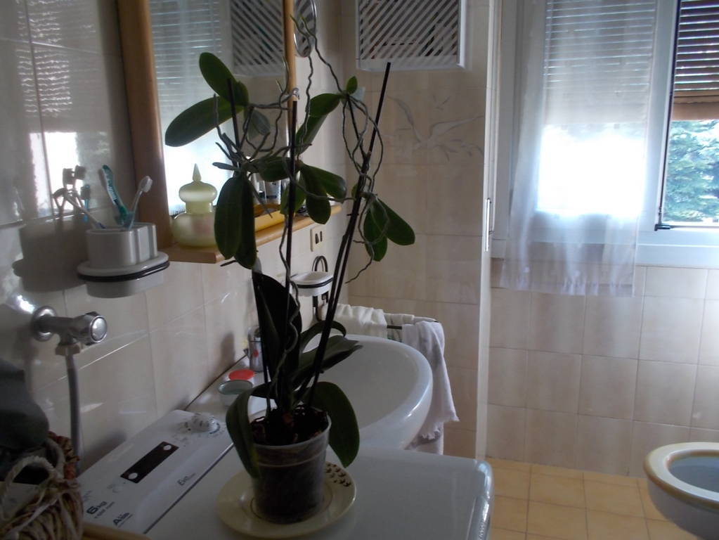 dscn5260-fileminimizer