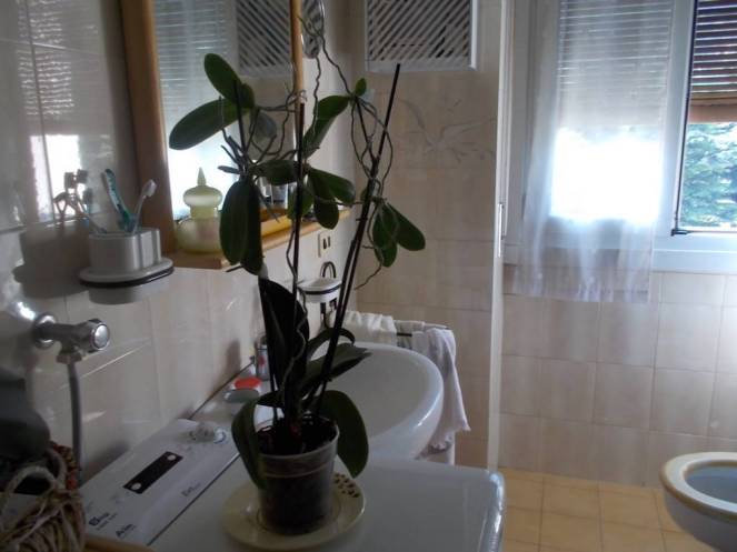 dscn5260-fileminimizer